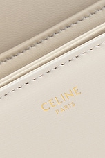 FWRD Renew Celine Calfskin Triomphe Shoulder Bag in Light Stone, view 5, click to view large image.