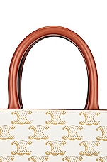 FWRD Renew Celine Triomphe Vertical Cabas Tote Bag in Brown, view 7, click to view large image.