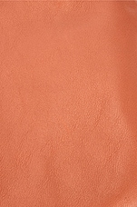 FWRD Renew Bottega Veneta The Fringe Pouch in Clay & Gold, view 5, click to view large image.