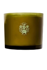 Flamingo Estate Jasmine &amp; Rose Xl Candle , view 1, click to view large image.