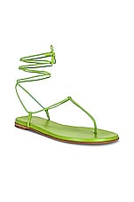 Gianvito Rossi Gwyneth Sandals in Kiwi, view 2, click to view large image.