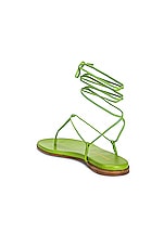 Gianvito Rossi Gwyneth Sandals in Kiwi, view 3, click to view large image.