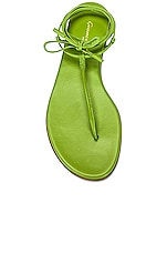 Gianvito Rossi Gwyneth Sandals in Kiwi, view 4, click to view large image.