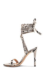 Gianvito Rossi Borneo in Rock, view 5, click to view large image.