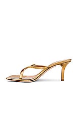 Gianvito Rossi Ribbon Thong Sandal in Mekong, view 5, click to view large image.