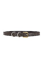 Givenchy Voyou Belt in Walnut Brown, view 1, click to view large image.
