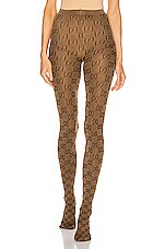 Brown 2025 gucci tights