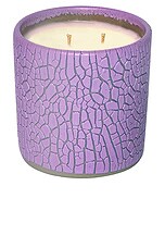 candle✣candle Houseplant Crackle Candle in Purple | FWRD