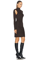 Helmut Lang Cut Out Turtleneck Dress in Espresso, view 2, click to view large image.