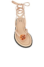 Helsa Lace Up Sandal in Nude, view 4, click to view large image.