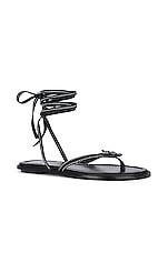 Helsa Lace Up Sandal in Black, view 2, click to view large image.