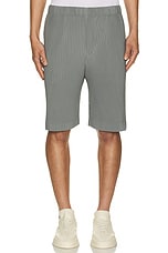 Homme Plisse Issey Miyake Pleated Shorts in Warm Grey, view 4, click to view large image.