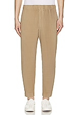 Homme Plisse Issey Miyake Pleated Pants in Cinnamon Beige, view 4, click to view large image.