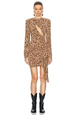 Isabel Marant Vinia Dress in Cinnamon, view 1, click to view large image.