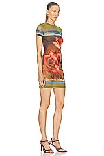 Jean Paul Gaultier Roses Mesh Short Sleeve Dress in Green, Red & Blue, view 2, click to view large image.