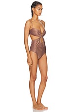 Johanna Ortiz Huachuma One Piece Swimsuit in Chocolate, view 2, click to view large image.