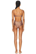 Johanna Ortiz Huachuma One Piece Swimsuit in Chocolate, view 3, click to view large image.