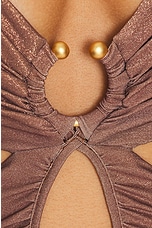 Johanna Ortiz Huachuma One Piece Swimsuit in Chocolate, view 4, click to view large image.