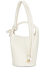 JACQUEMUS Le Petit Tourni in Light Ivory, view 3, click to view large image.