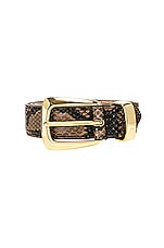 KHAITE Gold Buckle Benny Belt in Coffee, view 3, click to view large image.