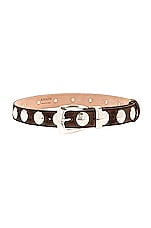 KHAITE Benny Belt With Studs in Coffee, view 1, click to view large image.
