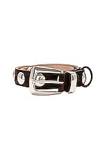 KHAITE Benny Belt With Studs in Coffee, view 3, click to view large image.