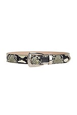 KHAITE Benny 30mm Belt in Natural & Antique Silver, view 1, click to view large image.