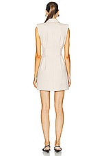 L'Academie by Marianna Hendry Mini Dress in Beige, view 3, click to view large image.