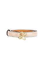 Loewe L Buckle Belt in Light Oat & Gold, view 3, click to view large image.