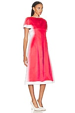 Loewe Blurred Print Dress in Red & White, view 2, click to view large image.