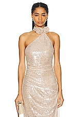 LPA Aniella Halter Top in Champagne, view 1, click to view large image.