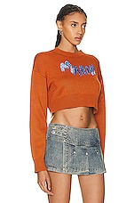 Marni Logo Sweater in Apricot, view 2, click to view large image.
