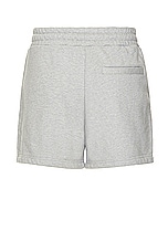 Members of the Rage Distressed Small Logo Shorts in Heather Grey, view 2, click to view large image.