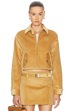 Miu Miu Ribbed Bomber Jacket in Miele, view 1, click to view large image.