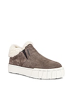 Miu Miu Suede Slip On Sneakers in Ghiaia & Natural, view 2, click to view large image.