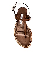 Manolo Blahnik Leather Hata 10 Sandal in Brown, view 4, click to view large image.