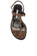 Manolo Blahnik Hata Suede Sandal in Print, view 4, click to view large image.
