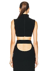 MONOT Turtleneck Sleeveless Crop Top in Black, view 3, click to view large image.