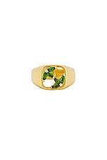 MAPLE 3am Signet Ring in 14K Gold Plated, view 1, click to view large image.