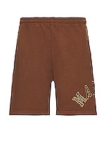 Market Rug Dealer Throwback Arc Shorts in Acorn, view 1, click to view large image.