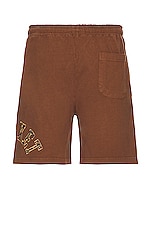 Market Rug Dealer Throwback Arc Shorts in Acorn, view 2, click to view large image.