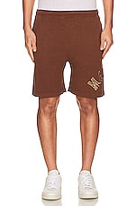 Market Rug Dealer Throwback Arc Shorts in Acorn, view 4, click to view large image.