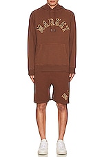 Market Rug Dealer Throwback Arc Hoodie in Acorn, view 4, click to view large image.
