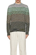 Missoni Crewneck Sweater in Beige & Green, view 4, click to view large image.