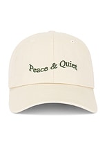 Museum of Peace and Quiet Wordmark Dad Hat in Bone, view 1, click to view large image.