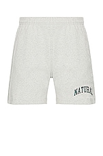 Museum of Peace and Quiet Natural Sweat Shorts in Heather, view 1, click to view large image.