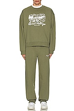 Museum of Peace and Quiet Wordmark Sweatpants in Olive, view 6, click to view large image.