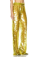 The New Arrivals by Ilkyaz Ozel Clapton Pant in Peridotite, view 2, click to view large image.