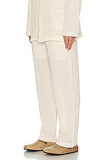 OAS Ecru Ayora Net Pants in Off White, view 4, click to view large image.