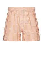 OAS Sunset Ladder Swim Shorts in Beige, view 1, click to view large image.